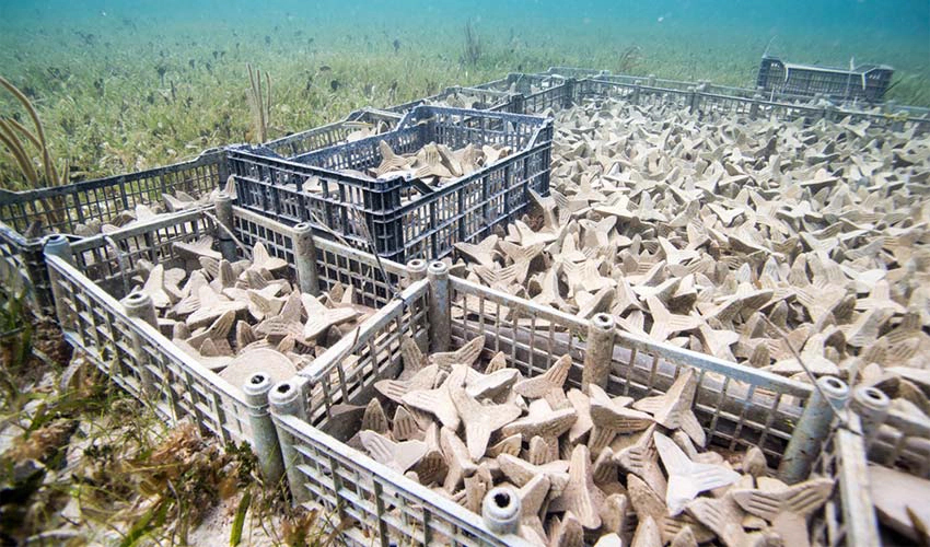 3D-printing-on-the-seabed3